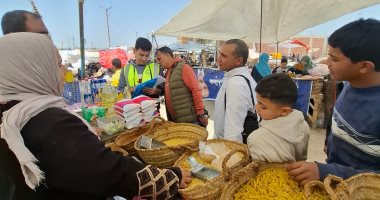 175 ألف طن صادرات غذائية والدول العربية أكبر الأسواق المستقبلة