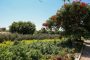 جوهر يبحث مع النائب محمد شبانة تعزيز التعاون وتطوير نادي الصحفيين ودعم المبادرات الوطنية للشباب