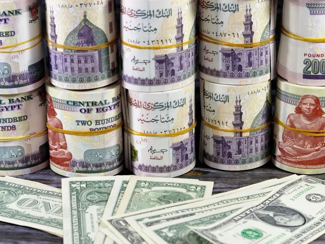 تواصل هبوط سعر الدولار مقابل الجنيه في مصر خلال تعاملات اليوم