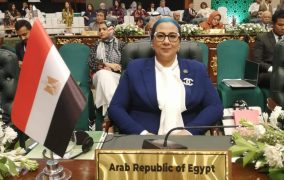 عمار : تمكين المرأة ضرورة تنموية واستراتيجية ترتبط بقدرة الدول على تحقيق التنمية المستدامة