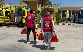 الهلال الأحمر المصري يستقبل الدفعة 63 من المصابين الفلسطينيين ويودع الذين تم شفاؤهم