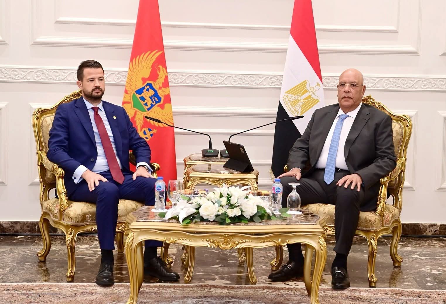 رئيس مجلس النواب يلتقي رئيس جمهورية الجبل الأسود