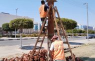 جهاز التطوير والتجميل يواصل رفع كفاءة وصيانة ميادين وحدائق الإسماعيلية