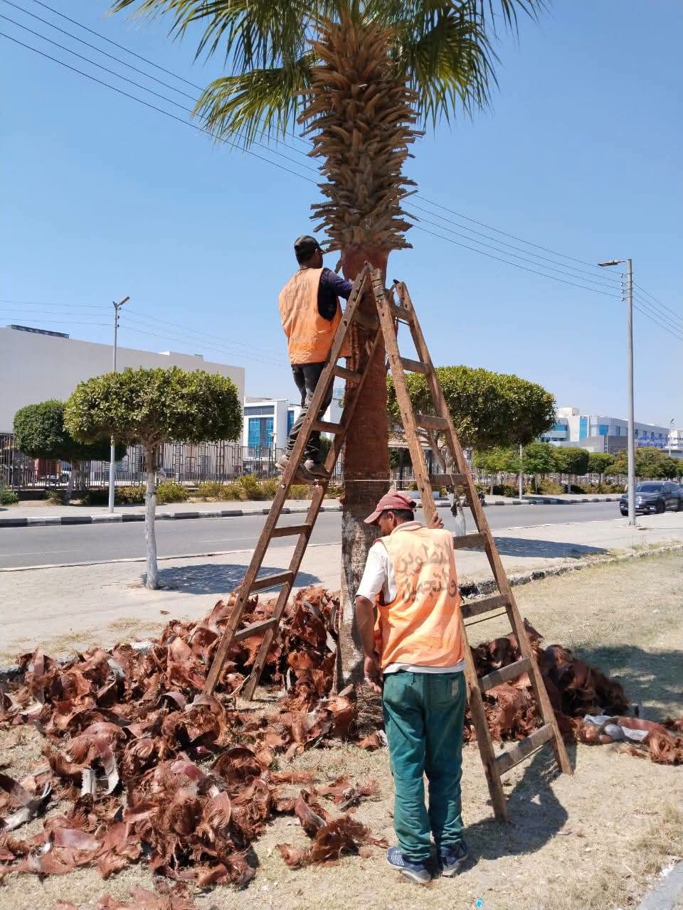 جهاز التطوير والتجميل يواصل رفع كفاءة وصيانة ميادين وحدائق الإسماعيلية