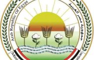 الزراعة تكثف الترصد الوبائي لحماية الثروة الحيوانية: أكثر من 21 ألف زيارة ميدانية