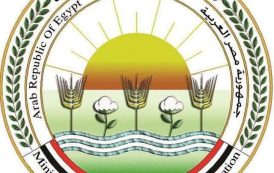 الزراعة تكثف الترصد الوبائي لحماية الثروة الحيوانية: أكثر من 21 ألف زيارة ميدانية