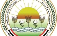 الزراعة : اصدار أكثر من 11 ألف موافقة وشهادة وتصريح وتأهيل أكثر من 1600 متدرب في مجال الاستخدام الآمن للمبيدات