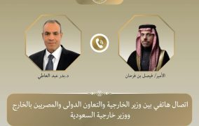 وزير الخارجية يبحث مع نظيره السعودي جهود خفض التصعيد في المنطقة