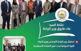 الزراعة.. تستعرض جهودها في دعم المزارعين وتحقيق الأمن الغذائي