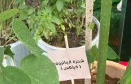 الكاتب / ناصر سالمين الحوسني يكتب.. الظنه عظمة وطن تلهم العالم