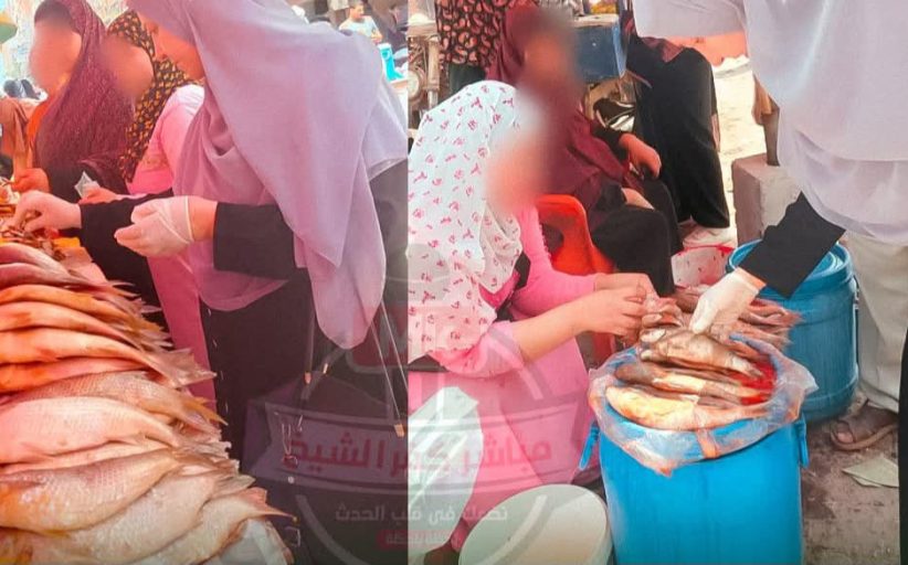 استجابة لشكاوى المواطنين.. ضبط ربع طن أسماك مملحة فاسدة في سوق الرياض بكفر الشيخ