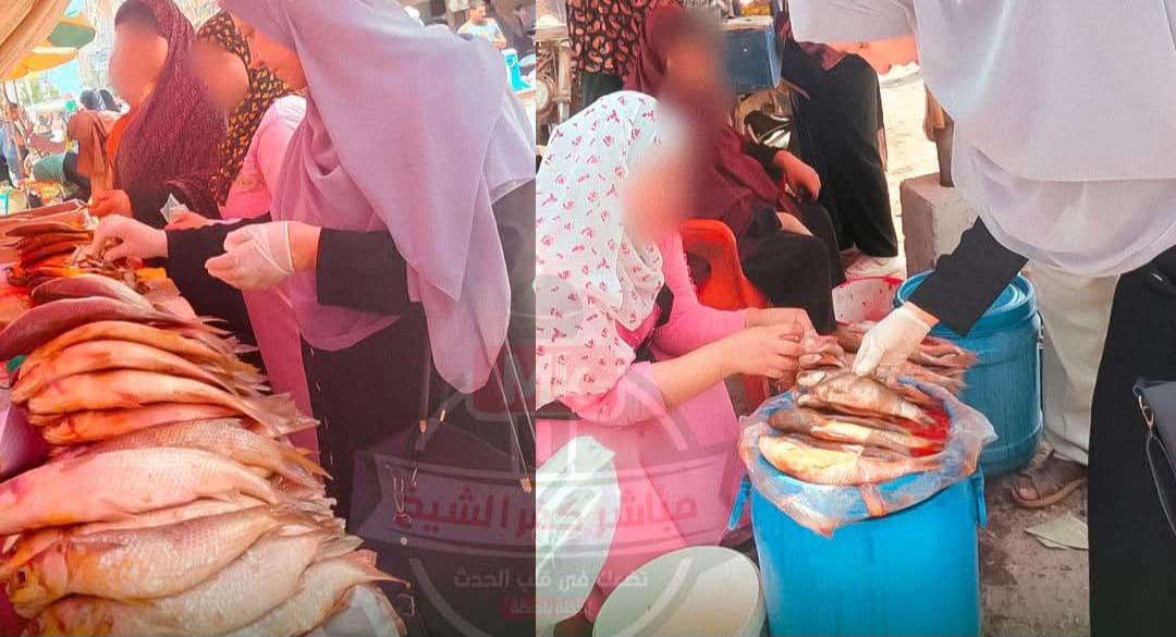 استجابة لشكاوى المواطنين.. ضبط ربع طن أسماك مملحة فاسدة في سوق الرياض بكفر الشيخ