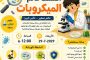 الأوقاف: العلم رسالة لا يحدها عمر.. والدكتورة آمال إسماعيل نموذج ملهم للإرادة والصمود
