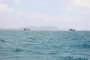 وزير الخارجية يجرى مشاورات سياسية مع نظيرته النمساوية