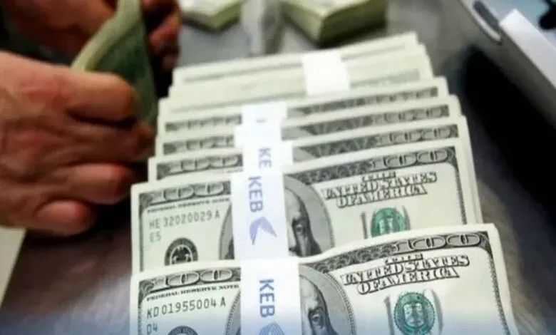 الحكومة تدشن صندوقا استثماريا للمصريين بالخارج بقيمة 100 مليون دولار العام المقبل