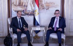 وزير التخطيط يبحث سبل التعاون مع الرئيس التنفيذي لوكالة الفضاء المصرية
