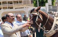 الخدمات البيطرية: فحص وعلاج أكثر من 84 ألف رأس ماشية و76 ألف طائر