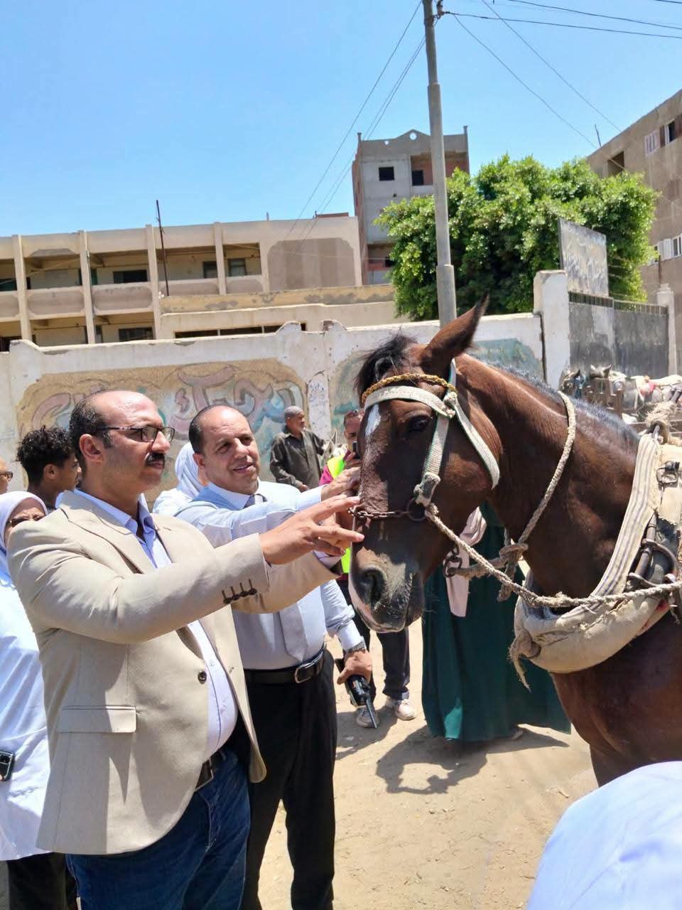 الخدمات البيطرية: فحص وعلاج أكثر من 84 ألف رأس ماشية و76 ألف طائر