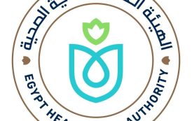 السبكى يتابع تطورات الحالة الصحية لمصابي حادث الدواويس بالإسماعيلية.