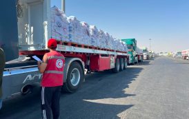 الهلال الأحمر المصري يطلق قافلة «زاد العزة» الـ 255 بحمولة أكثر من 2,741 طن إلى غزة