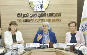 القومي للمرأة ينظم اجتماع اللجنة التيسيرية التنفيذية لمشروع «تمكين المرأة المصرية»