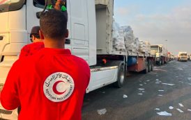 الهلال الأحمر المصري يدفع بأكثر من 58 ألف سلة غذائية وأطنان من المساعدات الطبية في «زاد العزة»