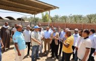 محافظ الوادي الجديد تشهد حصاد محصول البرحي بمزارع الزراعة بشرق العوينات