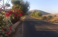 غازي أبو طبيخ يكتب .. نافذةٌ على: سمفونيةُ عِشق