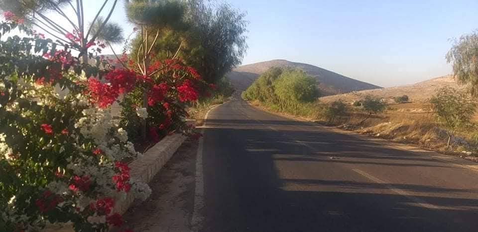 غازي أبو طبيخ يكتب .. نافذةٌ على: سمفونيةُ عِشق