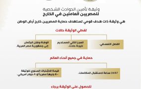 مظلة تأمينية جديدة لتعويض المصريين بالخارج عند الوفاة والفصل التعسفي والترحيل