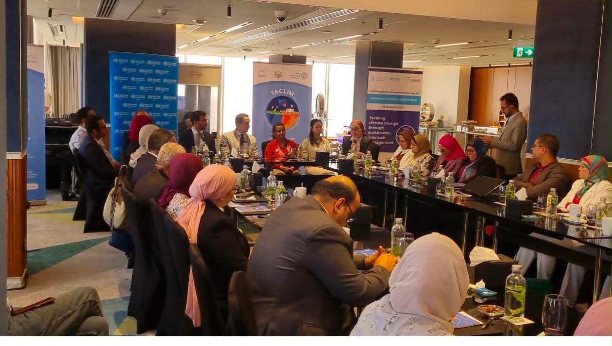 «الصحة الحيوانية» تشارك في ورشة «الفاو» لمواجهة مقاومة المضادات الحيوية