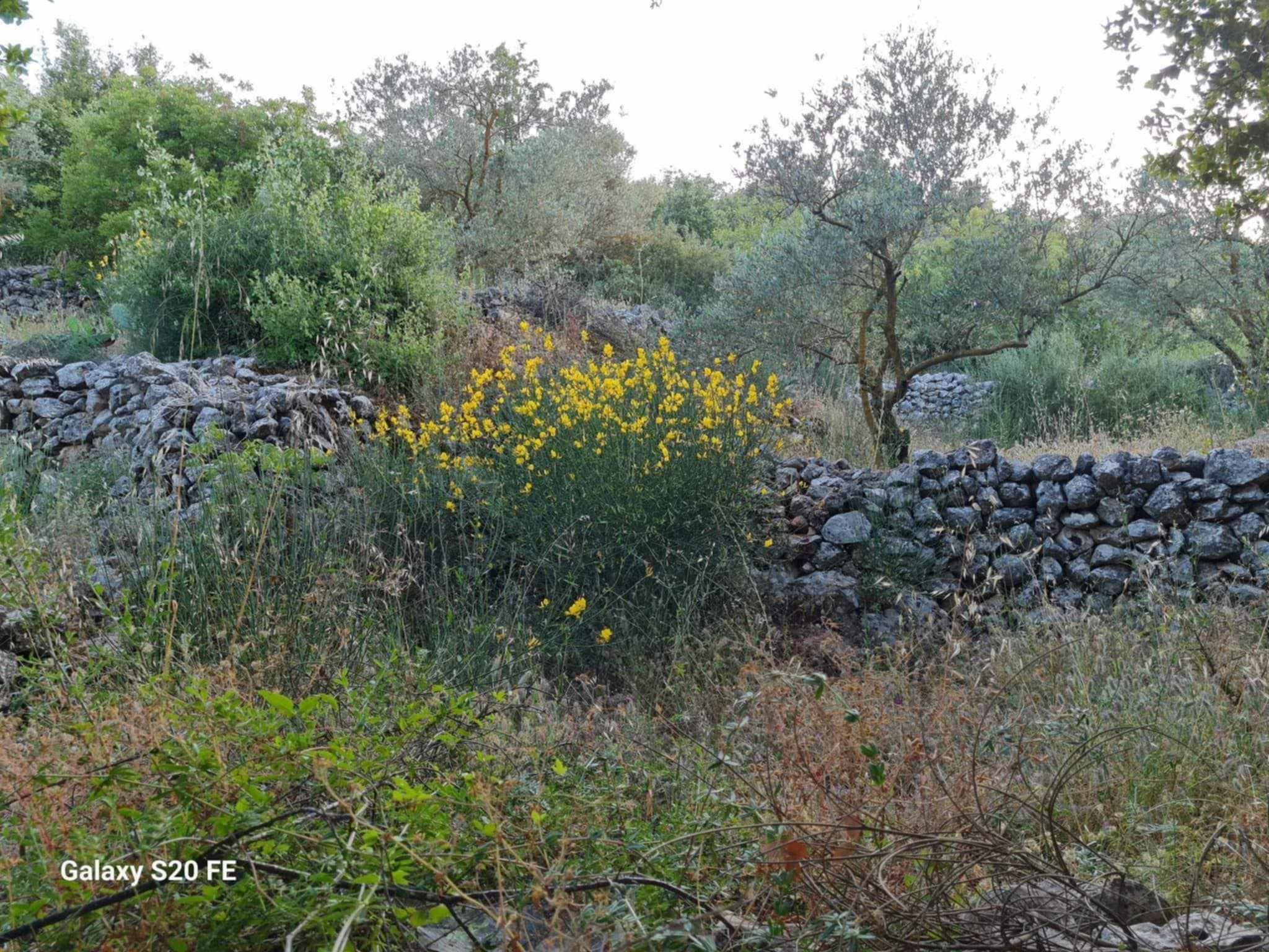 تيسير حيدر يكتب.. سيمياء طفولة 