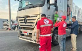 الهلال الأحمر المصري يدفع بأطنان من المساعدات الغذائية والإغاثية لدعم الفلسطينيين