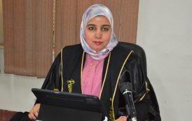 آلاء صلاح تكتب .. من فلسفة التكنولوجيا إلى فلسفة المعلومات: قراءة في المشروع الفلسفي للوتشيانو فلوريدي