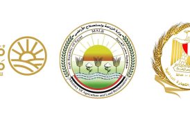 وزارتا التموين والزراعة وجهاز مستقبل مصر يعلنون بدء طرح السكر الحر بسعر 25 جنيهًا غدا