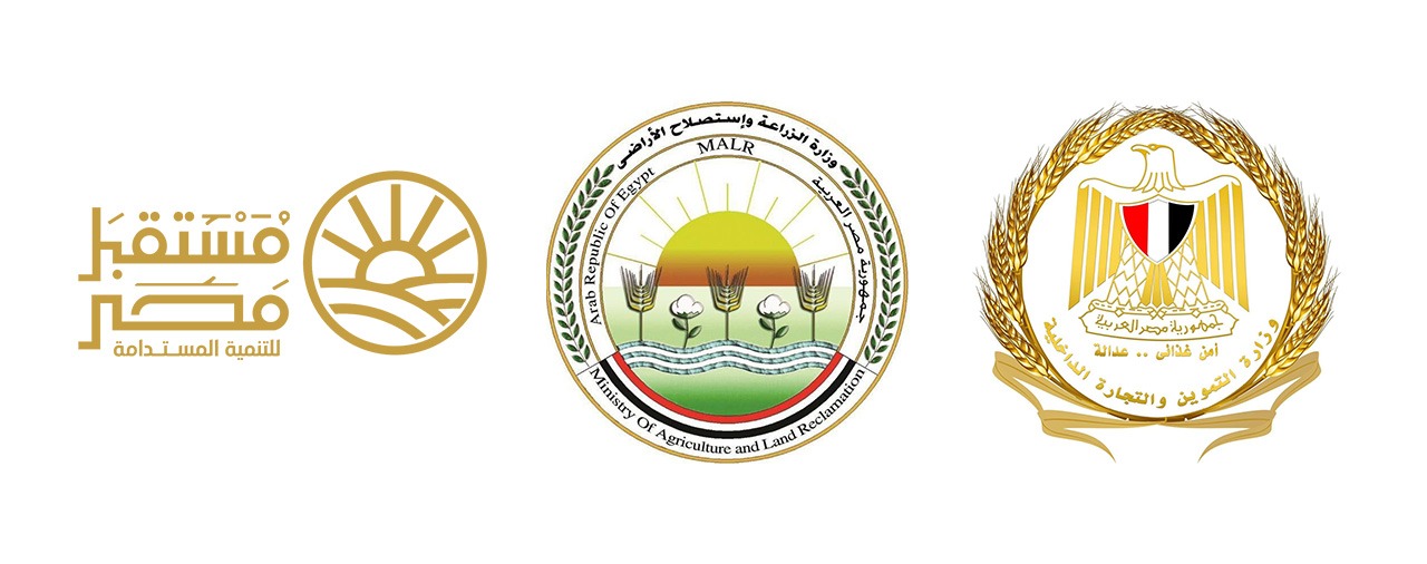 وزارتا التموين والزراعة وجهاز مستقبل مصر يعلنون بدء طرح السكر الحر بسعر 25 جنيهًا غدا