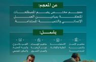 مجمع الملك سلمان العالمي للغة العربية يُطلق (معجم المصطلحات الإنمائية)