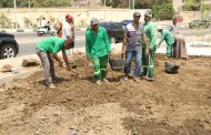 محافظ القاهرة يتفقد منطقة السيدة عائشة للارتقاء بالمظهر الحضارى