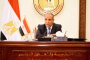 وزير الخارجية يلتقي رؤساء البعثات المصرية في الخارج